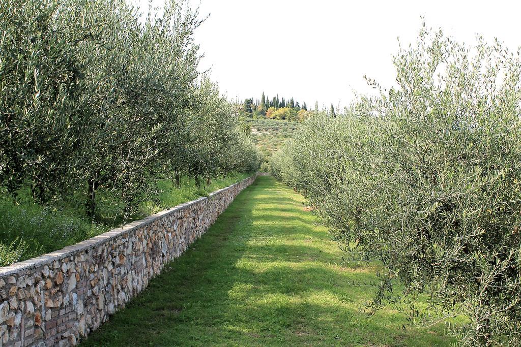 سان مارتينو بون ألبرغو Ca' Dei Coci B&B المظهر الخارجي الصورة